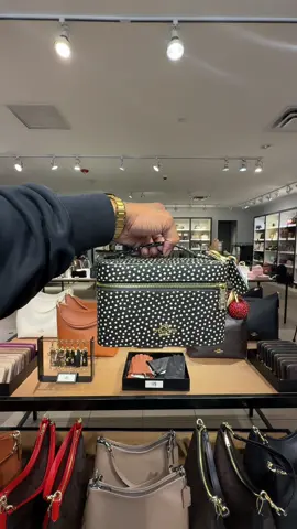 New arrivals just dropped 👜✨ #fyp #explore #coachretailemployee #coach #CoachNewArrivals 