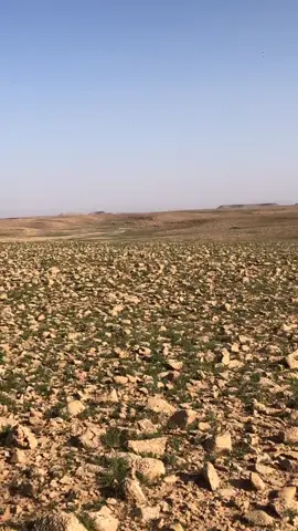 #الرطبه #الرطبه_حدود_العراق  #كشتات_طلعات_البر  #عشاق_الفكع #الغربيه 