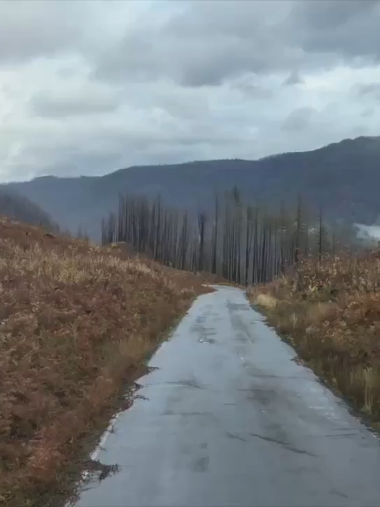 MISSING HUNTER: Search and rescue efforts continue for 51-year-old hunter Devon Dobek, missing in the Mount Hood National Forest since Oct. 31. Crews are using thermal imaging drones to fly over difficult to reach terrain. Anyone with information about this case is urged to contact the Clackamas Sheriff’s Office Tip line at 503-723-4949. #missing #oregon