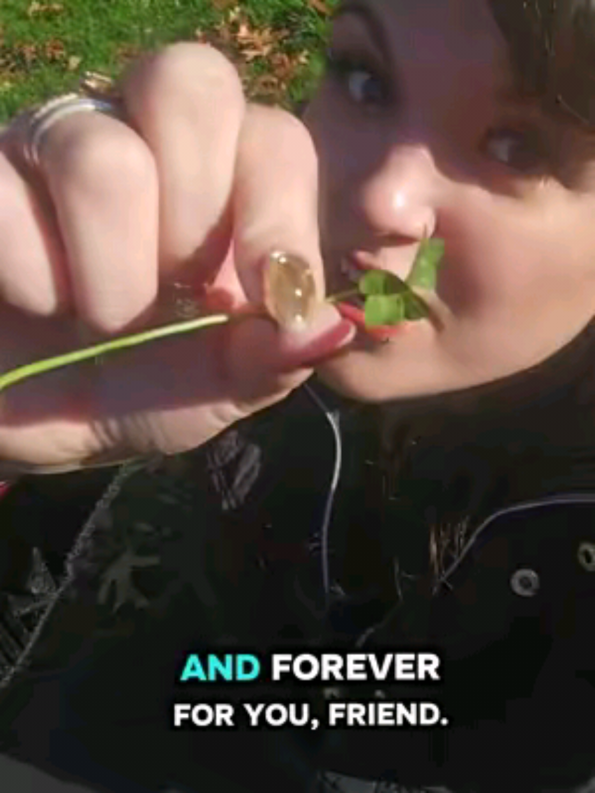 Day 948 - Finding YOU The Four-Leaf Clover of The Day.🍀 #fourleafclover #luvky #howtofindafourleafclover #Goodluck #4leafclover 