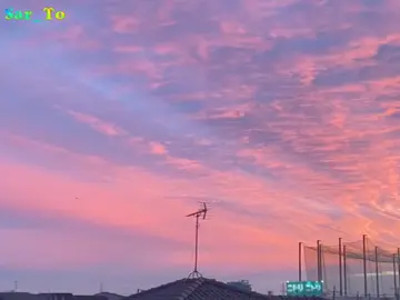 အလွတ်💐🫶🏼 . . .#mg_ksl #mg_ksl_2010 #fyp #foryou #lyrics💐 