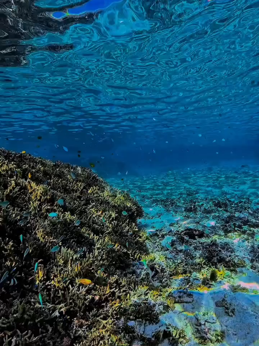 the old path#seafarerslifeonboard #mcgicares #BIBLICALY #highlights 