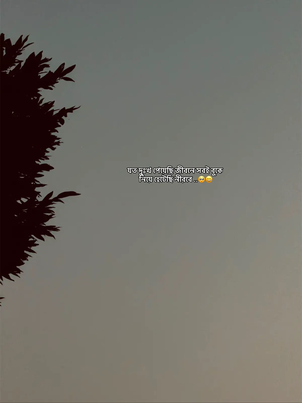 #Outfit cowok Berwarna#foryou #10millionadoptions 