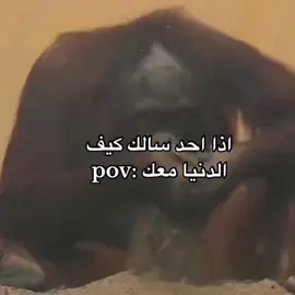 #اكسبلورر  😂😂🤣🤣