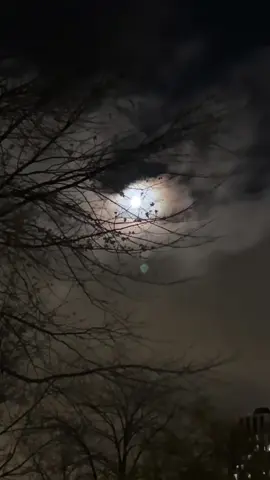 #fürdich #CapCut #pypシ #سوريا_تركيا_العراق_السعودية_الكويت #👂👍😒  @( Fa🤴hd )  @( Fa🤴hd ) 