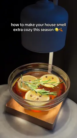 The cozy fall scent hack you didn’t know you needed 🕯️✨ #kroger #candlewarmer #cozyvibes #fallscent #fallhacks @makena | SEA food & lifestyle 
