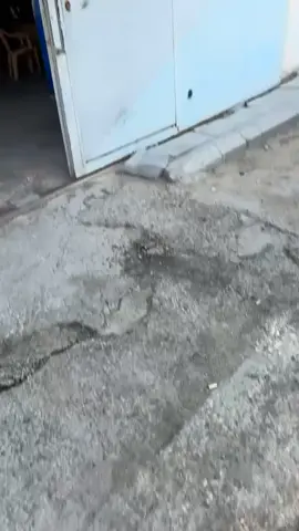 #اشعب_اصيني_ماله_حل😂😂 