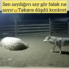 خوش كمين 😅🤣#