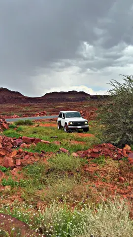 #تصوير_احترافي_الاجواء👌🏻🕊😴 #تبوك_الورد_تبوك_تيماء_ضباء_حقل #ماشاءالله_تبارك_الله_اذكروا_الله #اكسبلور #اكسبلورexplore 