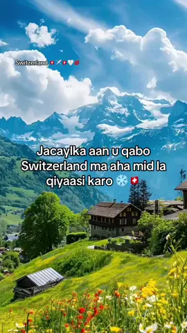 #Switzerland #🇨🇭🇨🇭🇨🇭🇨🇭🇨🇭🇨🇭👍switzerland #zurich_switzerland🇨🇭✌🏻🌍 #swiss🇨🇭 #bern🇨🇭🇨🇭🇨🇭 