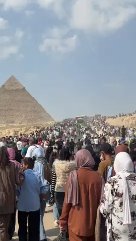 #مصر🇪🇬 #تونس🇹🇳 #الجزائر🇩🇿 #المغرب🇲🇦 #ليبيا🇱🇾 