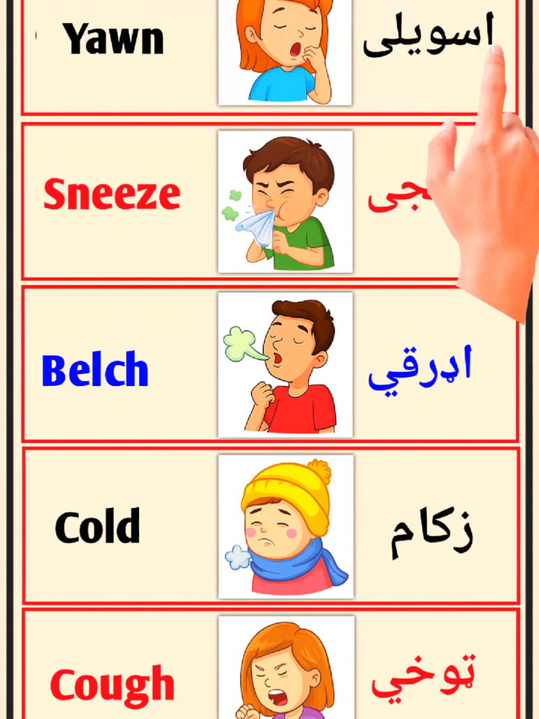 English to pashto Vocabulary. #englishwithayaz #englishpashto #انگلش #viral #foryou 