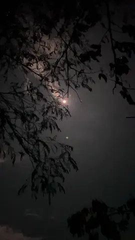 “Giữa tiếng gió và ánh trăng, tôi tìm thấy mình – bình yên như chưa từng vỡ.” 🌾 📍Phố Bùi Viện Plei