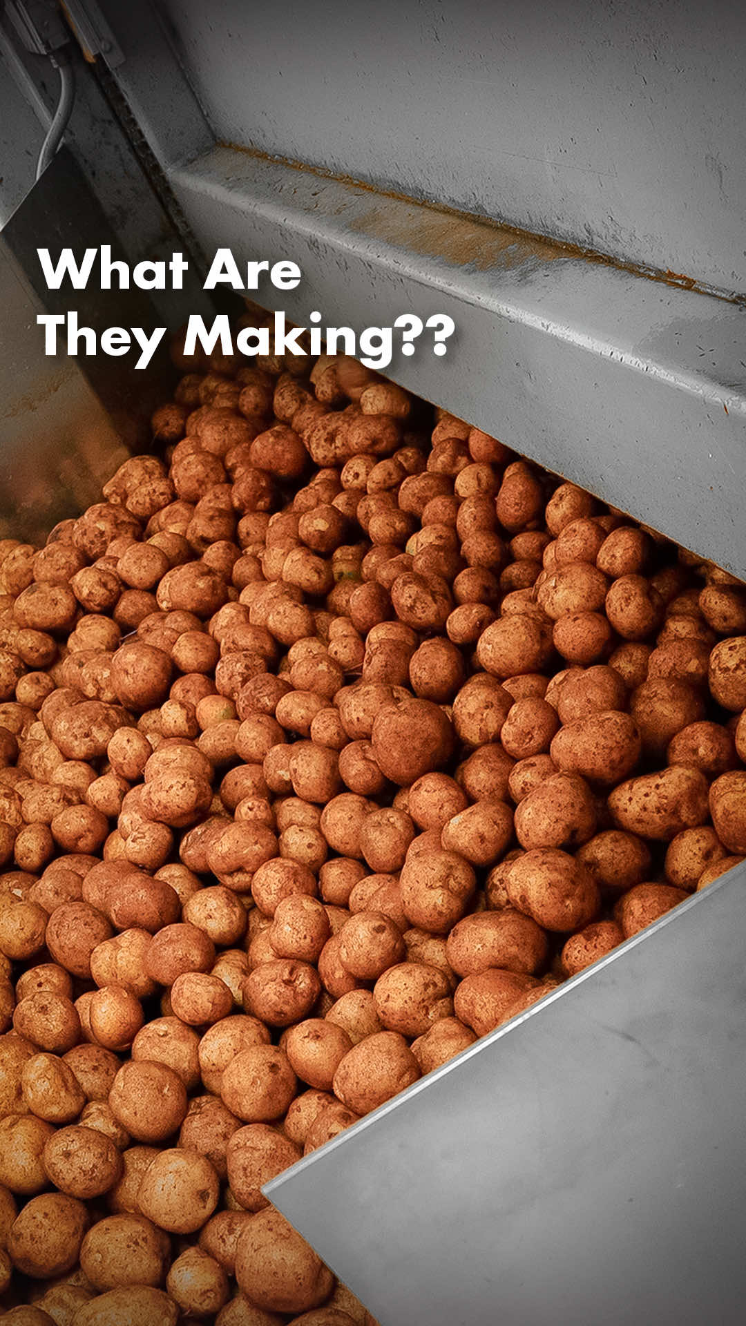 Here’s how they make my favorite snacks at Better Made Snack Foods in Detroit, Michigan. These potato chips are delicious #food #ilearnedontiktok 