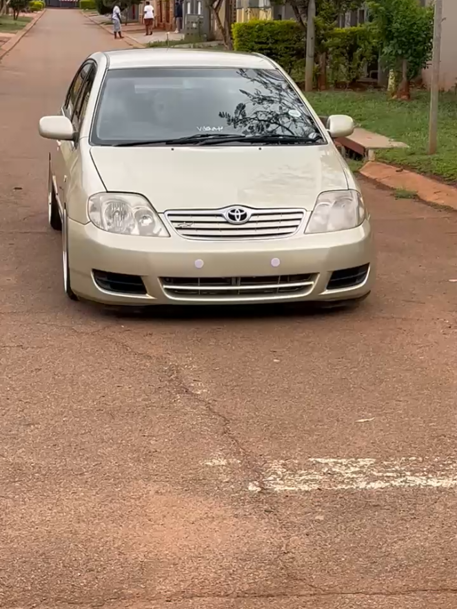 🥹🥹🥹 #staticlifestyle  #pretoriastancesociety #012stance #stanceisnotacrime #stance 