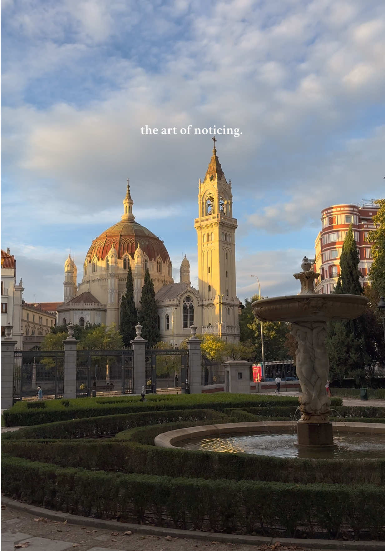 the art of noticing 🤍