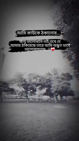 আমি কাউকে ঠকানোর জন্য ভালোবাসি নাই,তবে যে  আমায় ঠকিয়েছে তারে আমি অদ্ভুত ভাবে ভালোবাসতাম#foryou #fouryourpage #tiktokvairalvideo #trending #ইনশাআল্লাহ_যাবে_foryou_তে 
