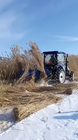 #трактор #tractor #китай  #қытай #china 