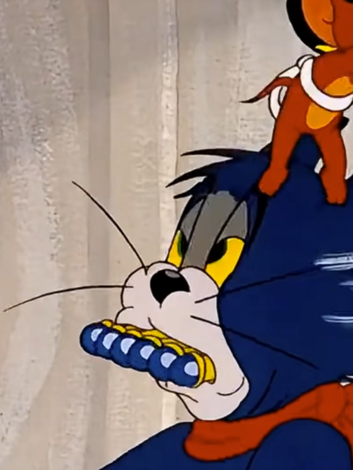 Tom And Jerry#音ハメ #touhou