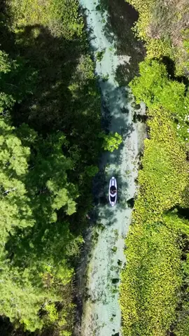 #onthisday 😌🌿🩵 #nature #springs #floridasprings #florida 