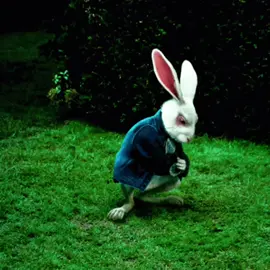 white rabbit. #fyp #viral #foryou #whiterabbit #MentalHealth 