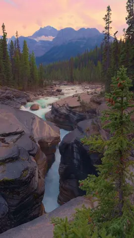 Looking out over the incredibly unique Mistaya Canyon as the turquoise waters carve their way through ancient rock. In the distance, the magnificent peaks of the Canadian Rockies glow in the warm light of sunset — a breathtaking reminder of nature’s power and beauty 🤩