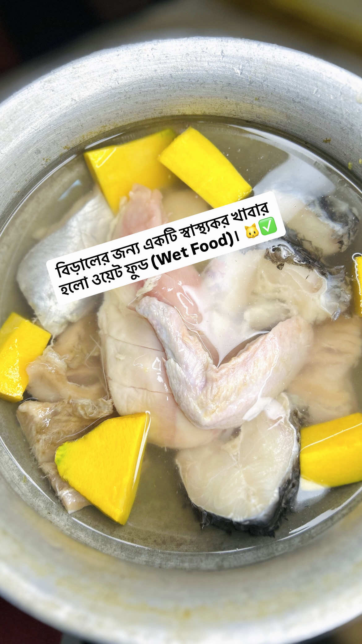 বিড়ালের জন্য একটি স্বাস্থ্যকর খাবার হলো ওয়েট ফুড (Wet Food)। 🍽️ ✅ #fblifestyle #foryoupageシ
