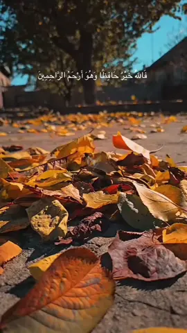 احفظ الله يحفظك #دعاء #عطيم#اكسبلور 