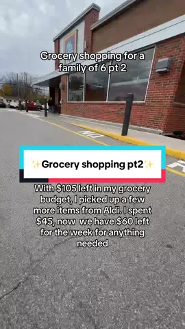 Once I get home, I’ll assess the snack situation and ask each kid to write down a sweet and salty snack. They would like for the week. I will probably end up using about 40 on snacks and using that last 24 any last minute things I need to pick up! I think I did pretty well for grocery shopping on a budget of $250 for six people!  #groceryshopping   #groceriesonabudget   #familyof6   #aldi 