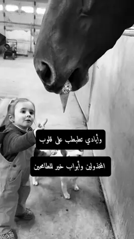 #اكسبلور #المهرة🐎#تصميمي #عبارات #foryoupage 