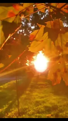 #слухайукраїнське #пісніукраїнською 