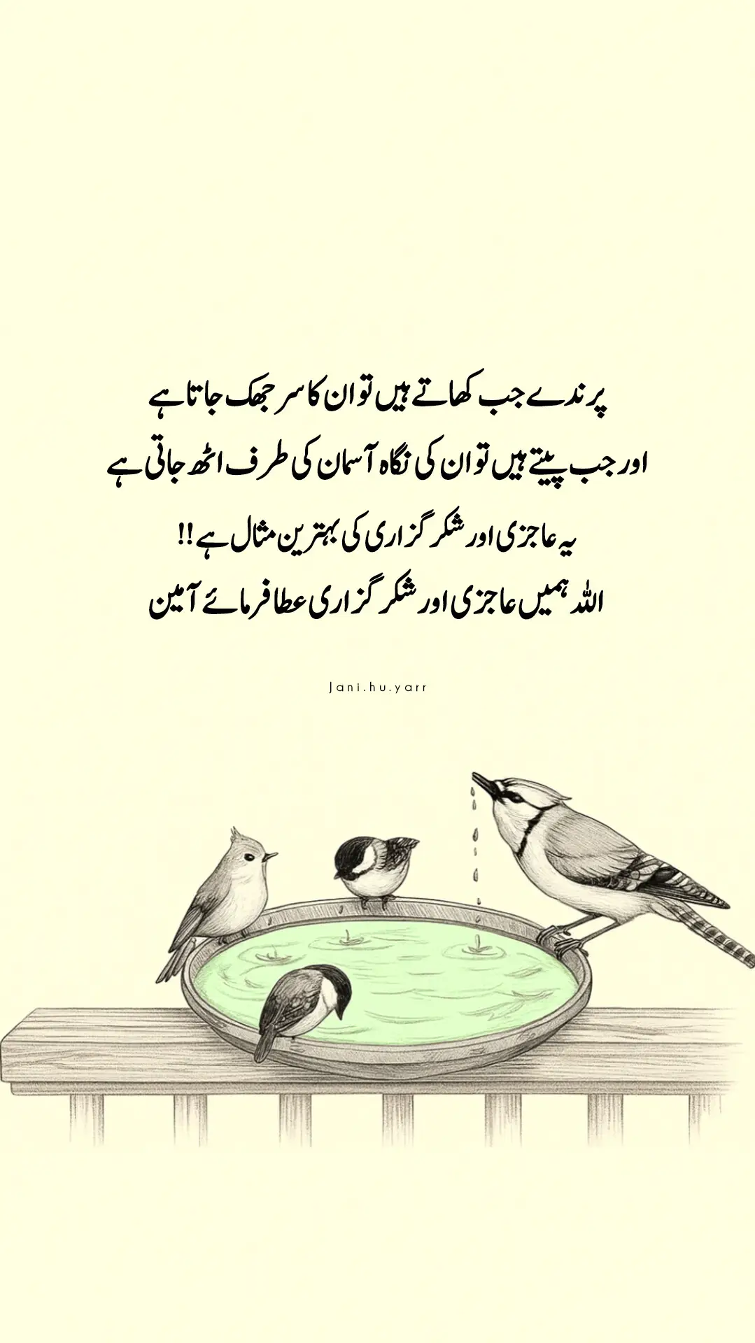 پرندے جب کھاتے ہیں تو ان کا سر جھک جاتا ہے اور جب پیتے ہیں تو ان کی نگاہ آسمان کی طرف اٹھ جاتی ہے یہ عاجزی اور شکر گزاری کی بہترین مثال ہے اللہ ہمیں عاجزی اور شکر گزاری عطا فرمائے آمین 