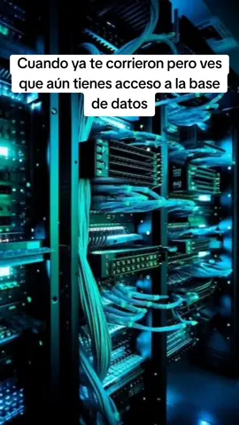 Que podría pasar?!#Meme #programacion #developerslife #code 