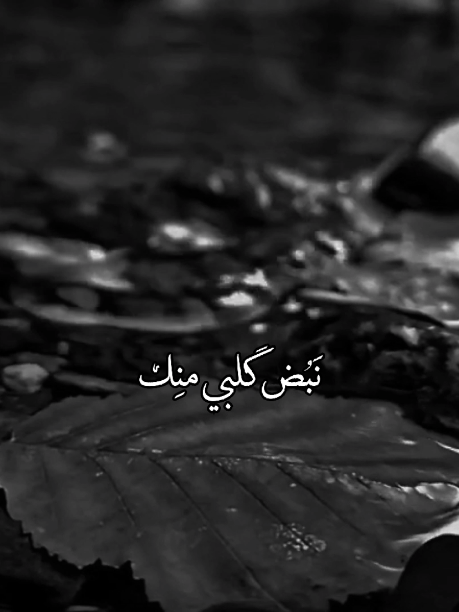 ٨:١٦ مَ #باسم_الكربلائي #قصائد #foryou 