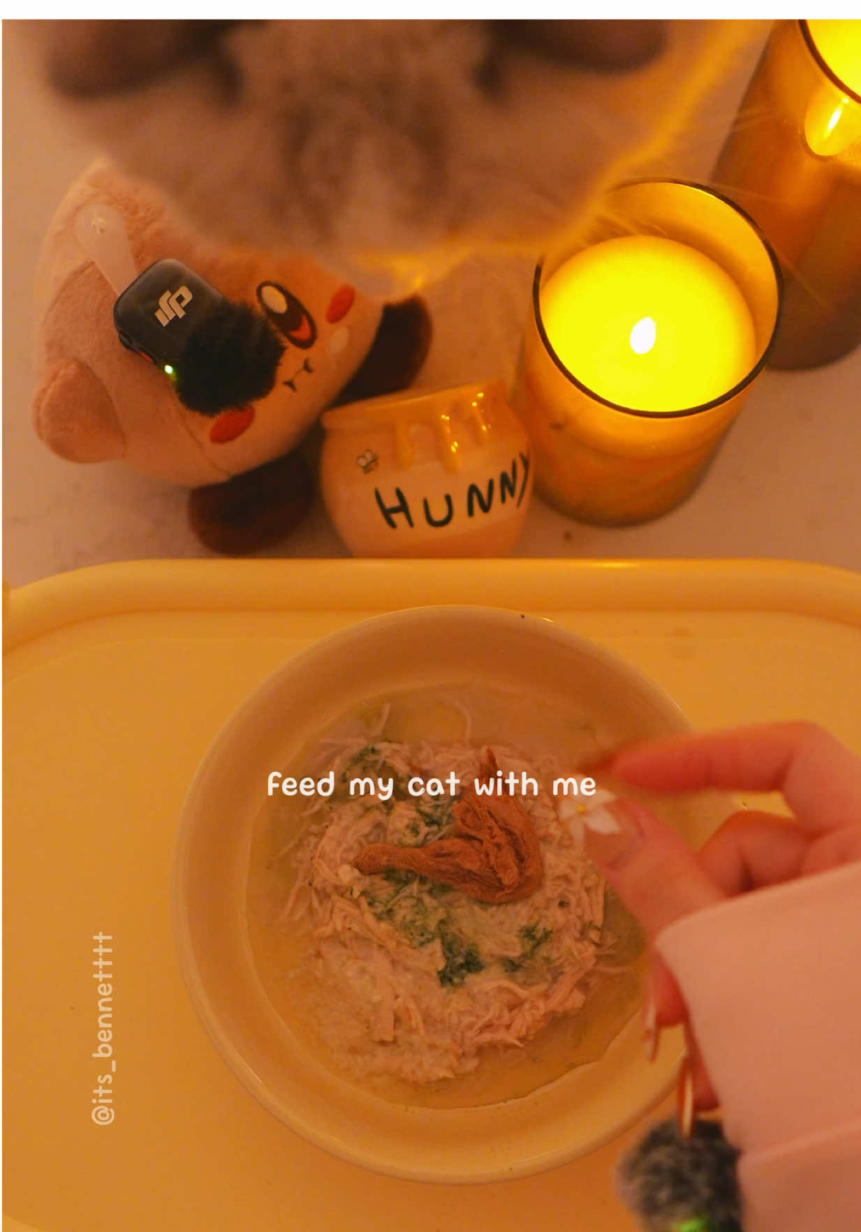 relaxing feeding time 🕯️ feed my ragdoll cat with me  〰️ 🍯 Open Farm Pet • ITSBENNETT for $25 off $100  🍯 Mango Pets • BENNETT for a spoon freebie over $30  〰️ Entering Bennett’s tummy~  • @RAWZ Chicken shreds  • @Weruva Chicken shreds  • @Adored Beast Apothecary Soil & Sea probiotics  • @Open Farm Pet broth  • Freeze-dried Quail Leg  • Freeze-dried Strawberry & Chicken  〰️  #cattok #catlovers #relaxingasmr #ragdollcats #soothingsounds  