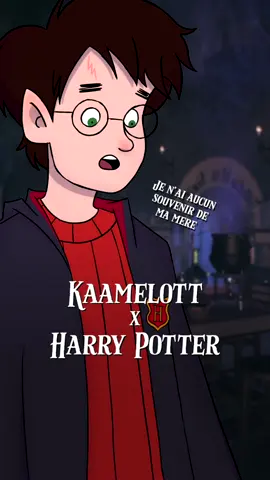 Harry Potter VS Severus Rogue 🦁🐍  #starwars #kaamelott #humour #potterhead #parodie 