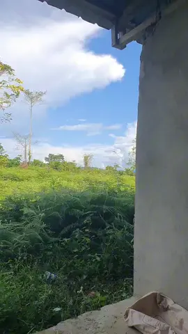 Vidéos drôles 😂😂😂 #asbaker0 🇬🇦🇫🇷