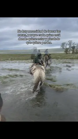 #paratiiiiiiiiiiiiiiii #fypシ゚ #campouruguayo #viralllgauchito #caballoscriollos 