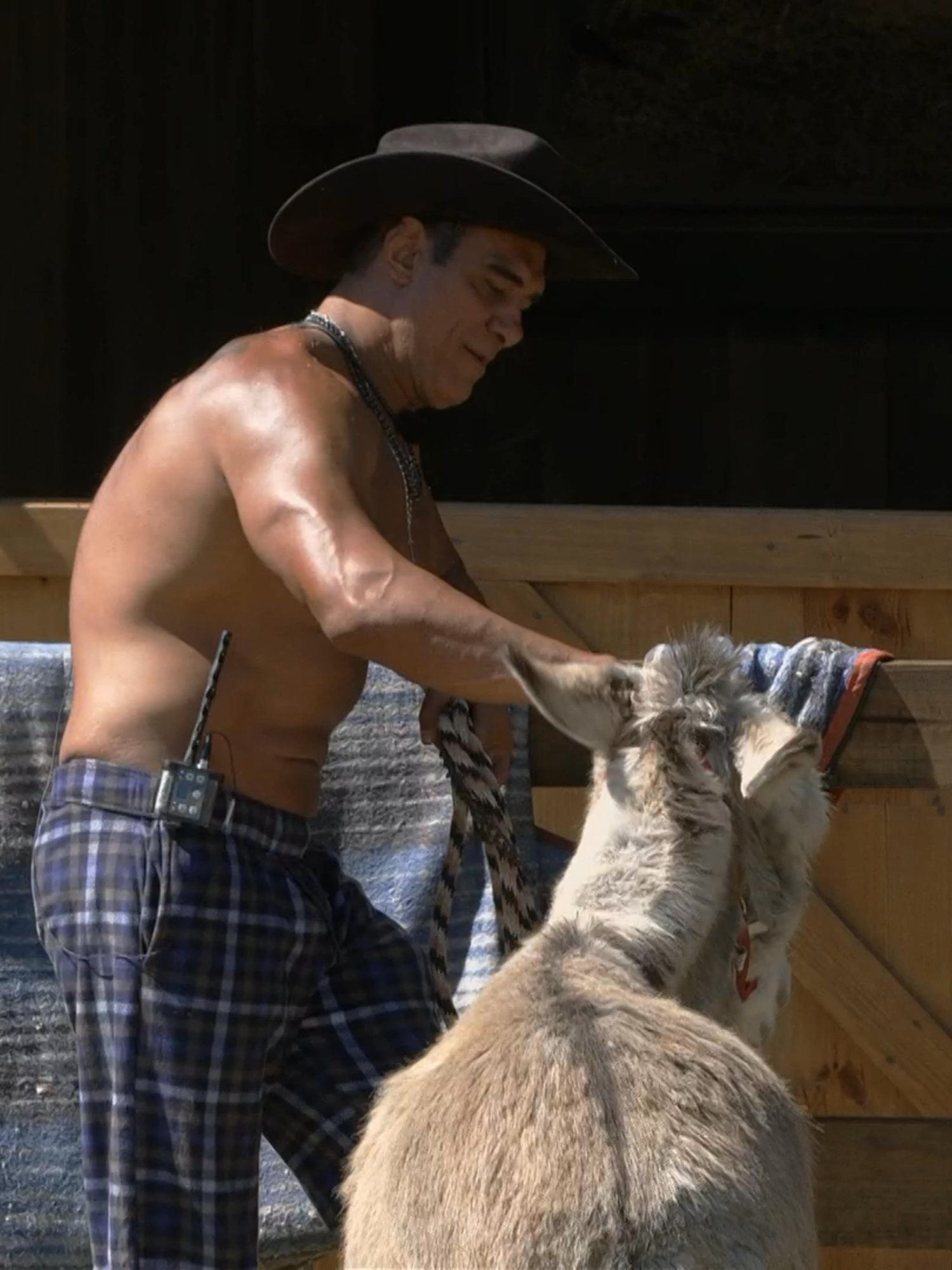 Sin filtros, #ElPatrón hace fuertes revelaciones sobre el problema que ha tenido con #AlfredoAdame en la dinámica de la constelación. 😌🙌🏼✨🔥 Lunes a viernes 9:00 p.m. por #AztecaUNO.⁣ Domingo La Gala 8:00 p.m. por Azteca UNO.⁣ 🌾 #LaGranjaVIP transmisión 24/7 en #DisneyPlus experiencia completa.