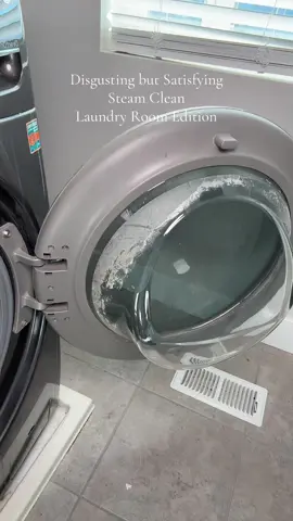 Steam Clean with me. I’ve used this steam cleaner 50+ times all around my house and it does such a good job #steamcleaning #cleanwithme #cleanwithmemotivation #blackfriday #blackfridaydeals 