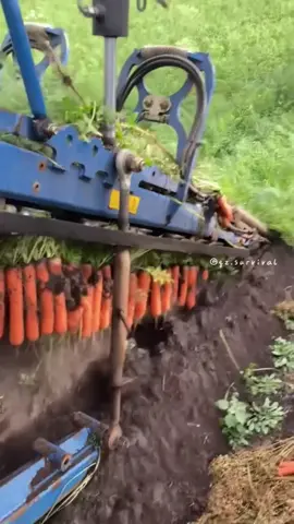 Amazing work Factories #satisfying #amazing #fpy #asmr #oddlysatisfying 