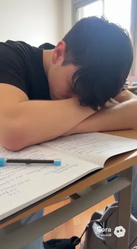 @peshrewind @manu #sora #twitchitalia #perte 