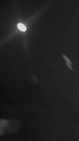 انشره جزاكم الله خير الجزاء وبارك الله فيكم 🌺🌺🌺🌺🌺🌺🖇🔁✅