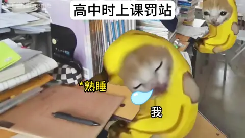 高中时上课罚站 #搞笑 #抽象 #猫meme #catmeme #内容过于真实 