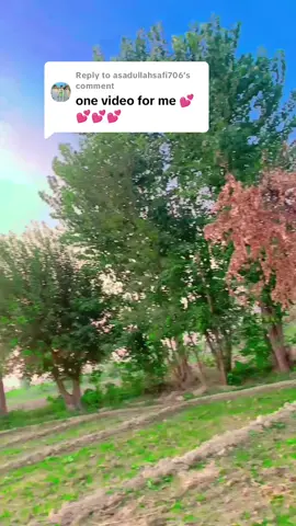 Replying to @asadullahsafi706❤❤✍️کشر رور سرہ خوشگوار موڈ میں سادہ جوند سومرہ مزہ کوی#vairal #vedio #vedi #father #vaira #faryoupage #faryoupage #farm 