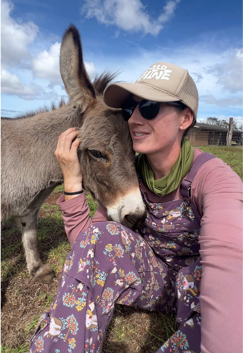 Bump update! #farm #farmlife #farmanimals #donkey #minidonkey 