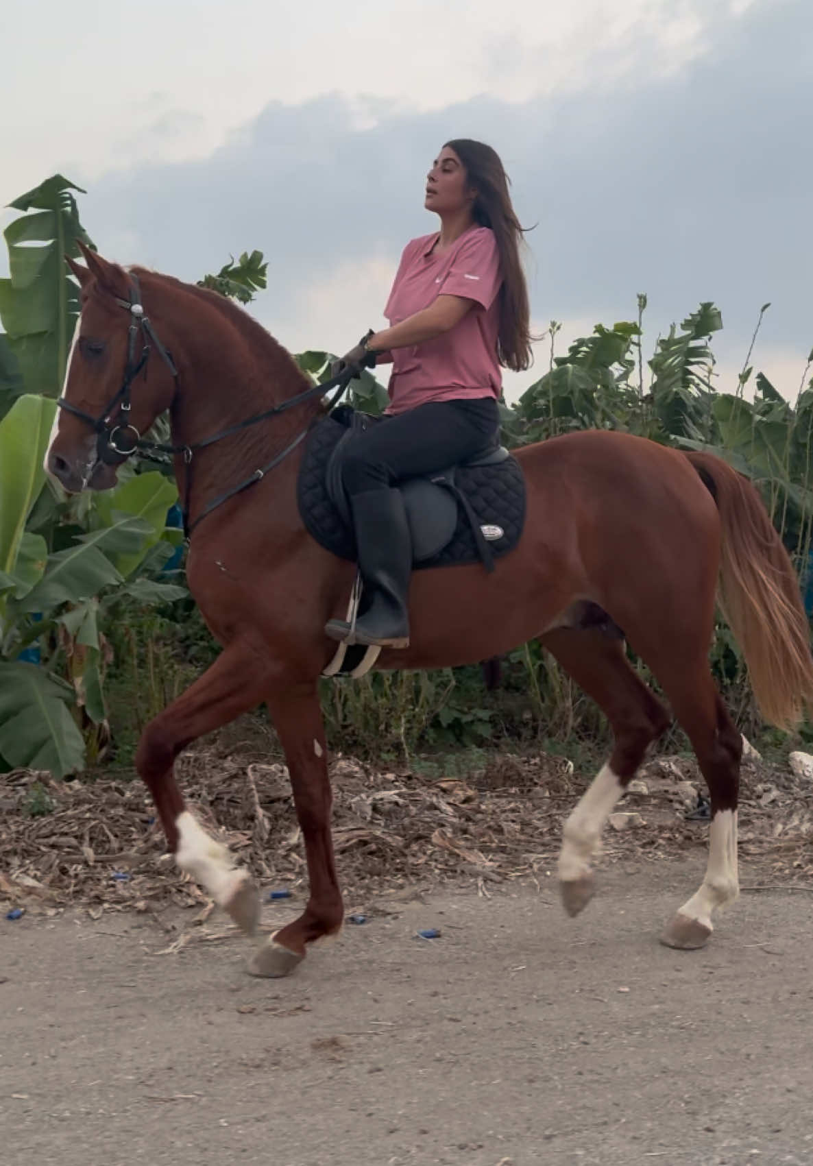 بسم الله ماشاءالله 🤎#اناروز🤎✨ #ماشاءاللہ #ريم_الفـــــــــلا #rim🦋 #خيل_وخياله🐎 