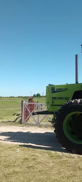 El papá de los pollitos 🫡#zanello #campoargentino #paratiiiiiiiiiiiiiiiiiiiiiiiiiiiiiii #argentina🇦🇷 