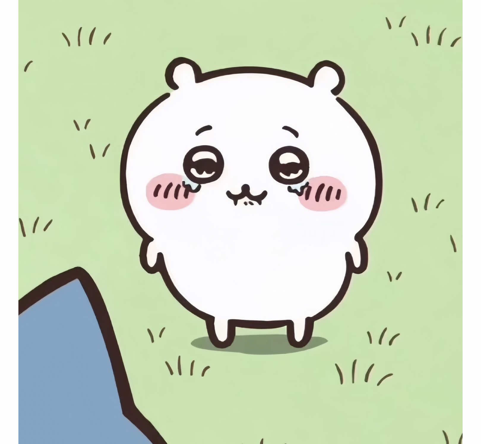 : ủa sao hỏng xem?! #stractee #chikawa #xh 