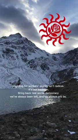 Social democracy is Left. #socialdemocracy #SPD #workers 